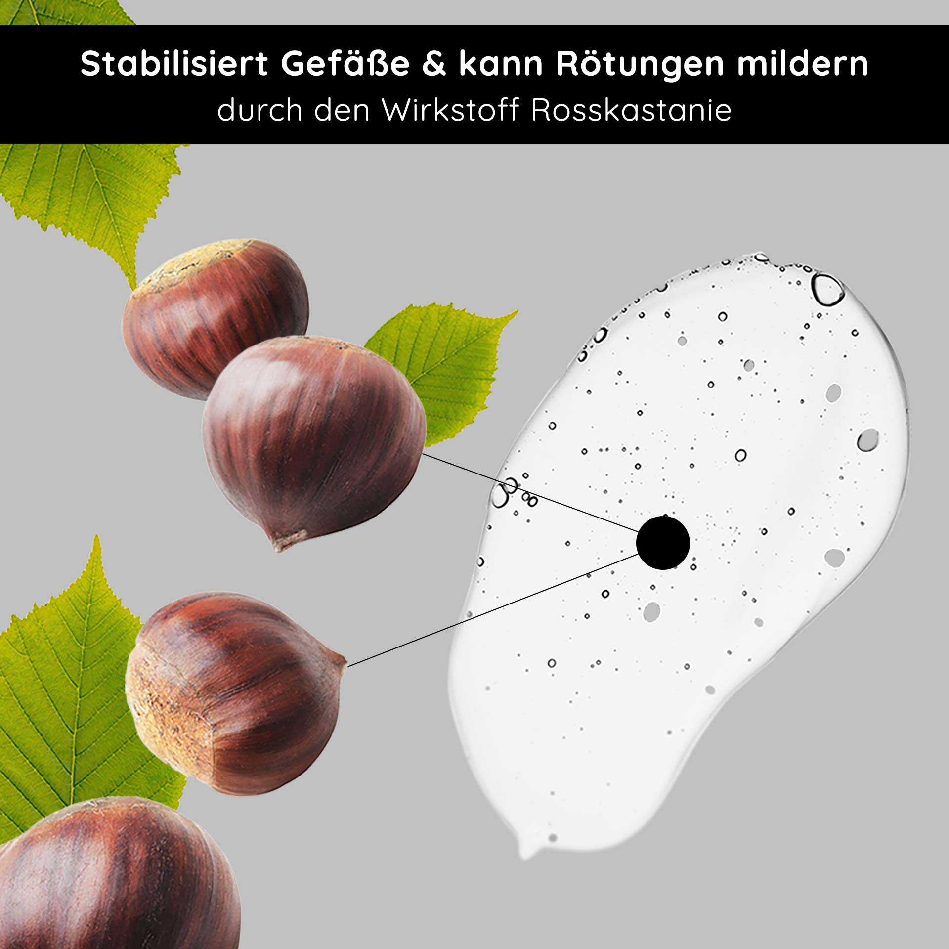 Anti Redness Couperose Serum 50 ml bei Rosacea - wirkt Rötungen entgegen Anti-Redness Couperose Serum mit Rosskastanienextrakt, stabilisiert die Gefäße und reduziert Rötungen, mit sichtbaren Kastanien und grünen Blättern vor neutralem Hintergrund.