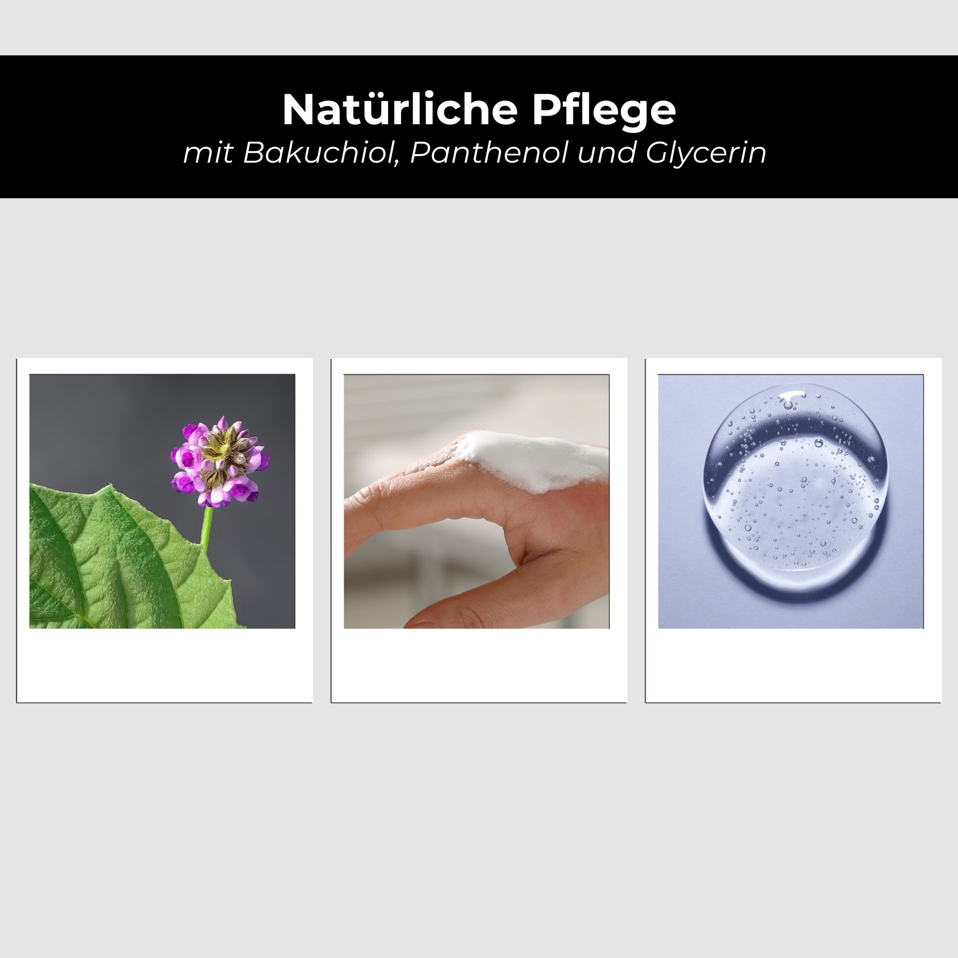Bakuchiol Neck- & Dekolletee  Fluid 15 ml Gel bei Halsfalten Purpur, Blume, Blรผtenblatt, Eis, Blatt