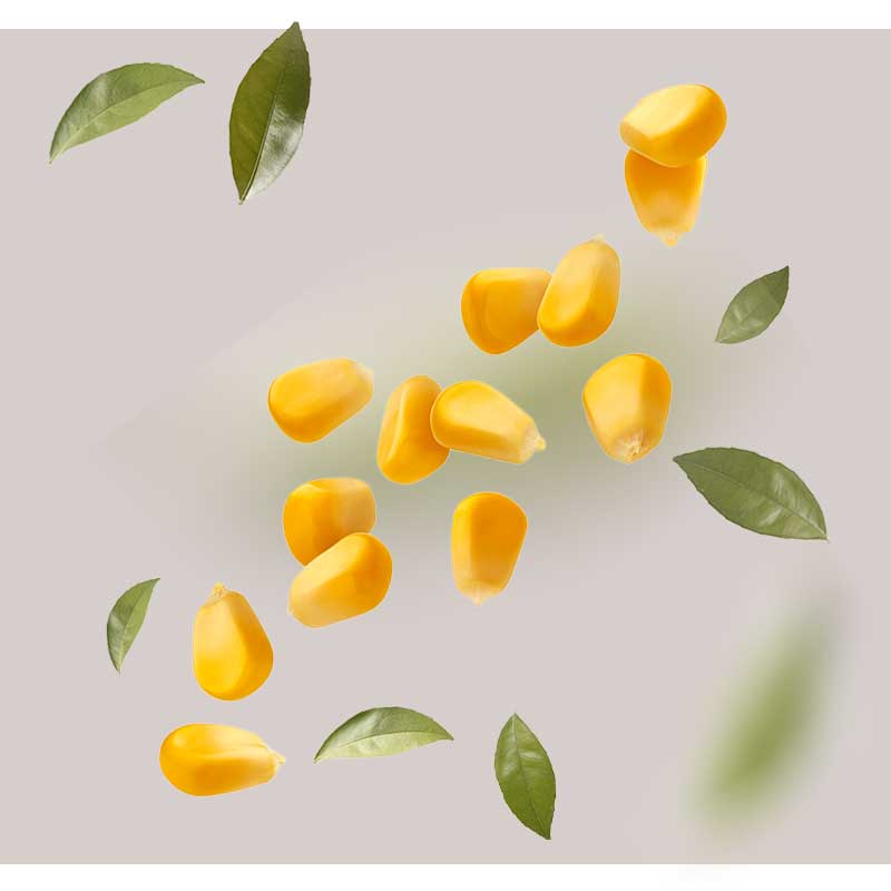 hydrolisierte-maisstaerke hydrolisierte-maisstaerke